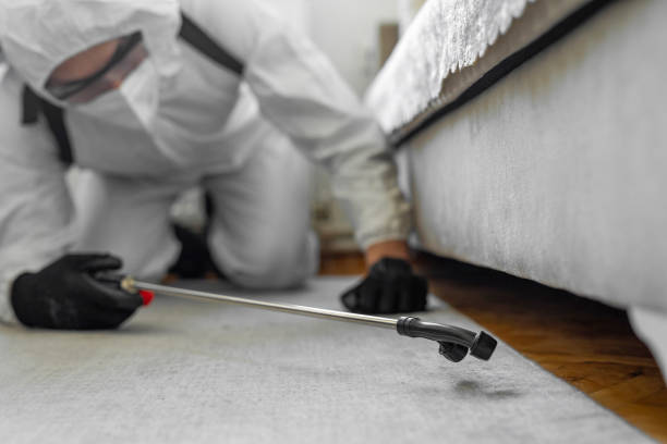 Professional Cockroach Control technician working in Monticello, IA