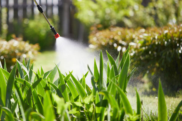 24/7 Emergency Cockroach Control experts in Monticello, IA