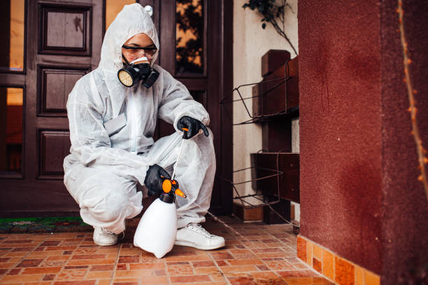 Reliable Cockroach Control contractor in Monticello, IA by Nex Pest Control