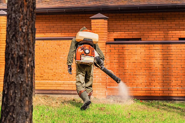 Trusted Termite Control service in Monticello, IA - Nex Pest Control